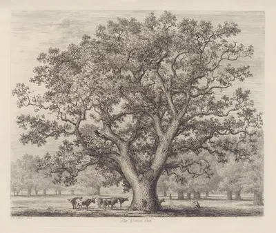 The Wotton Oak by Jacob George Strutt, 1826 — digital art print download