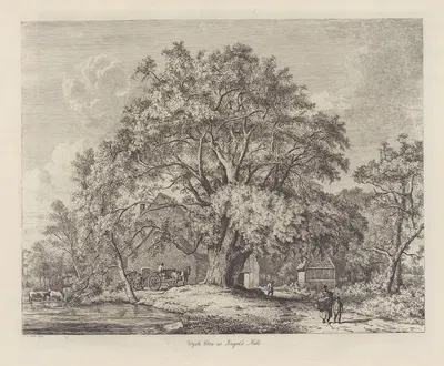 The Wych Elm at Bagot’s Mill by Jacob George Strutt, 1826 — digital art print download