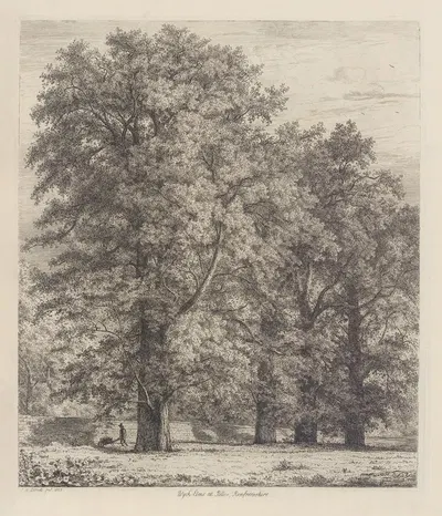 The Wych Elms at Polloc by Jacob George Strutt, 1826 — digital art print download