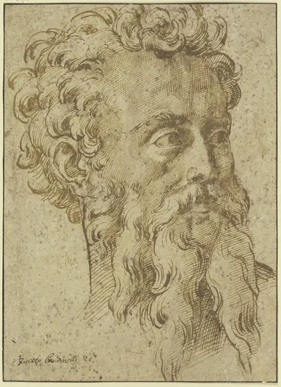 Männlicher Kopf mit langem geteiltem Bart dreiviertel nach rechts by Baccio Bandinelli — digital art print download