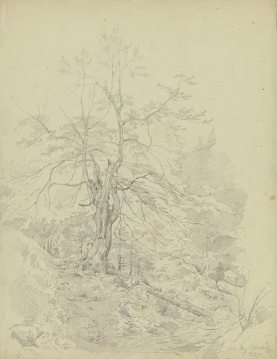 Waldpartie bei Schlehdorf am Kochelsee by Карл Морганштерн, 1834 — digital art print download