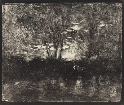 Cows at a Watering-Place by Шарль Франсуа Дюбини, 1862 — digital art print download