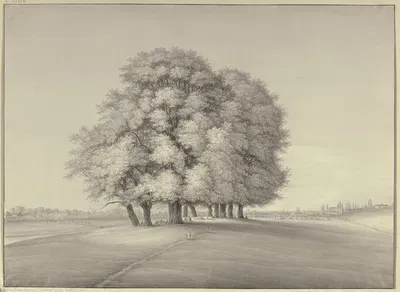 Der Grindbrunnen in Frankfurt am Main, große Baumgruppe auf einer Wiese mit Viehherde, unter den Bäumen Bänke, Tische und…