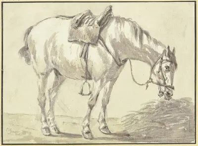 Aufgezäumter Schimmel, fressend nach rechts by Conrad Gessner — digital art print download