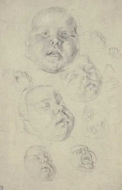 Studienblatt; Kopf und Hände eines Kleinkindes by Cornelis de Vos, 1627 — digital art print download
