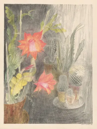 Pots with cacti and plants in bloom by Leo Visser, 1926 — digital art print download