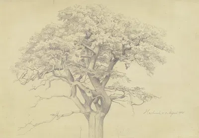Treetop by Edmund Kanoldt, 1865 — digital art print download