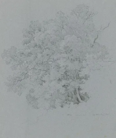 Licinie (Steineiche) am Albaner See by Эрнст Фриз, 1824 — digital art print download