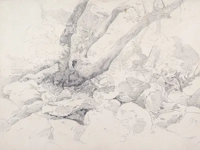 Verkrüppelter Baumstamm auf Felsen bei Ariccia by Эрнст Фриз, 1824 — digital art print download