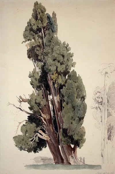 Zypressen im Park der Villa d'Este in Tivoli by Эрнст Фриз, 1826 — digital art print download