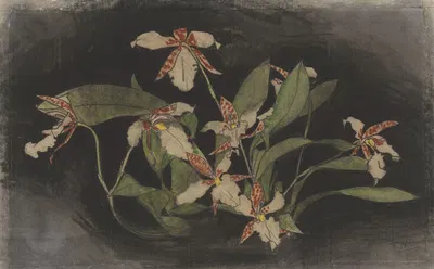 Bloeiende orchideeëntak by Тео Нивенхейс, 1876 - 1951 — digital art print download