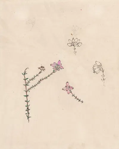 Takje met roze knoppen by Тео Нивенхейс, 1876 - 1951 — digital art print download