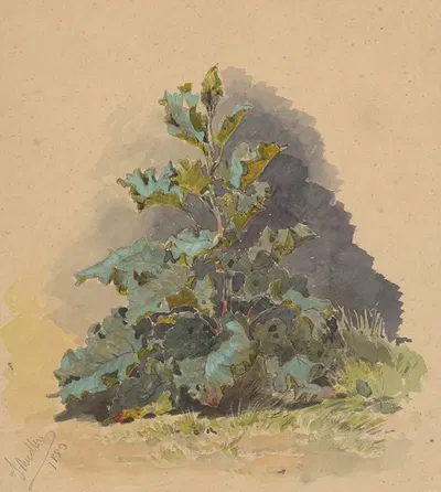 Study of Broadleaved Plant by Фридрих Карл фон Шейдлин, 1883 — digital art print download