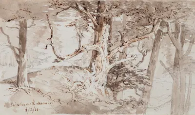 Birches on the Mararoa by Nicholas Chevalier, 1866 — digital art print download