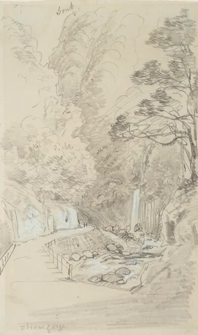 Otira Gorge by Николай Шевалье, 1866 — digital art print download