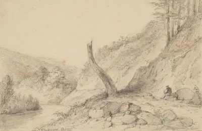 Entrance to second Hutt Gorge, Upper Hutt by William Swainson, 1847 — digital art print download