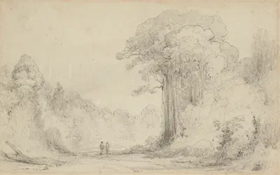 Entrance to Totara Grove, Upper Hutt by William Swainson, 1840 — digital art print download