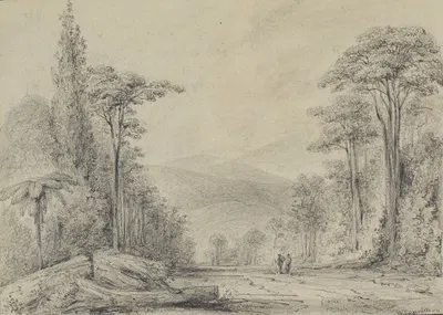 First view of the Rimutaka Range by William Swainson, 1848 — digital art print download