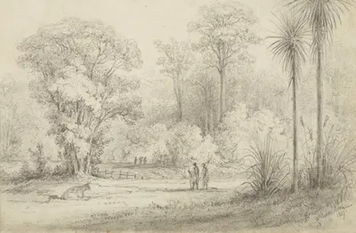 Hutt Road, from the windows of Hawkeshead by William Swainson, 1847 — digital art print download