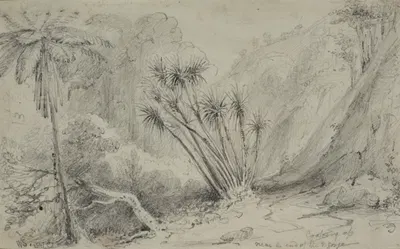 Looking up near the end of the 2nd Gorge by William Swainson, 1847 — digital art print download