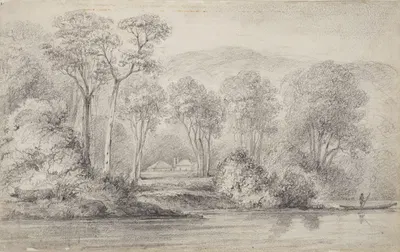 Newry, Mr Molesworth's, River Hutt by William Swainson, 1844 — digital art print download