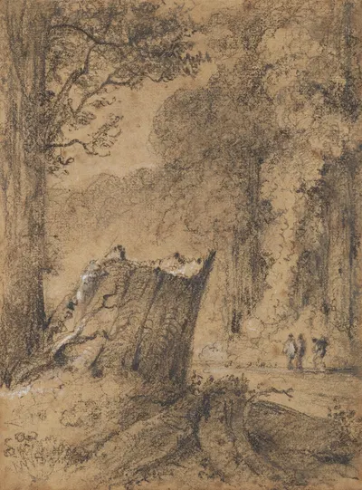 Road through the Hutt Forest, N.Z by William Swainson, 1846 — digital art print download