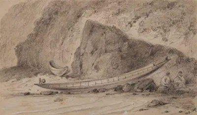 Road to Wellington and canoe in common use by William Swainson, 1847 — digital art print download