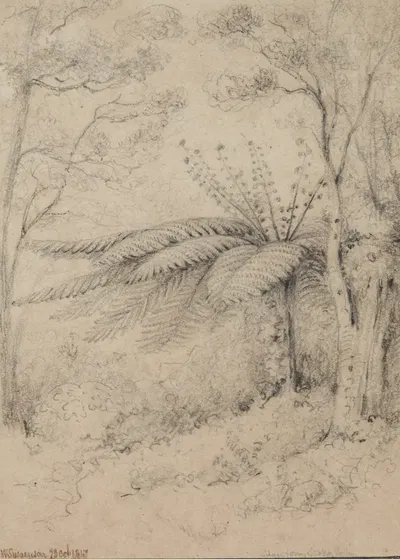 Silver fern, Stokes Valley, 1847, Lower Hutt by William Swainson — digital art print download