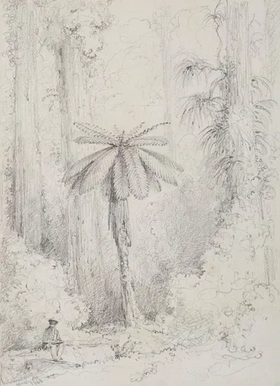 Silver leaved fern, Hutt forest by William Swainson, 1848 — digital art print download