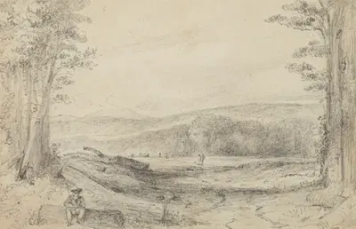 The Fern ground, looking up towards Managaroa by William Swainson, 1849 — digital art print download