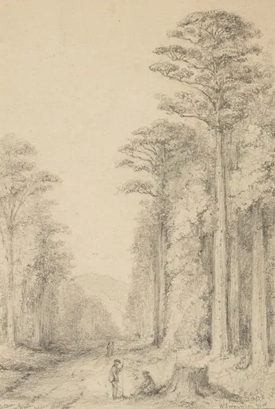 Totara Grove, Upper Hutt by William Swainson, 1847 — digital art print download