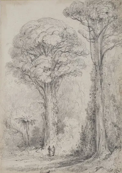 White Pine, Stokes Valley by William Swainson, 1848 — digital art print download