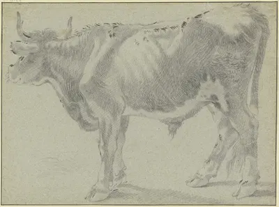 Ox looking to the left by Франческо Лондоньо — digital art print download