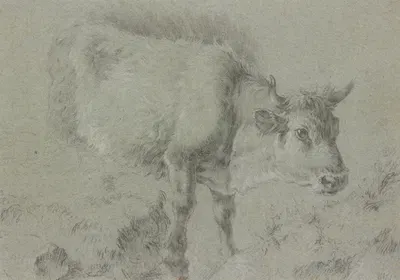 Cow to the left by Francesco Londonio — digital art print download