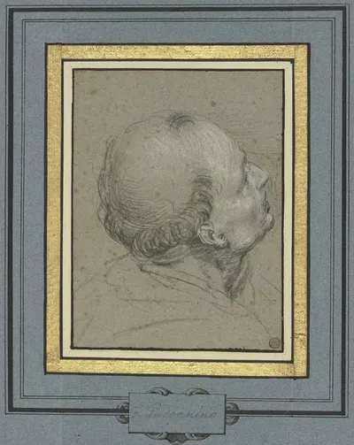Mönchskopf im verlorenen Profil nach rechts, in die Höhe blickend by Francesco Padovanino — digital art print download