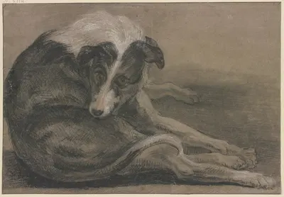 Greyhound, lying by Франс Снайдерс — digital art print download