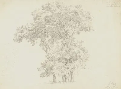 Group of trees by Friedrich Metz, 1853 — digital art print download