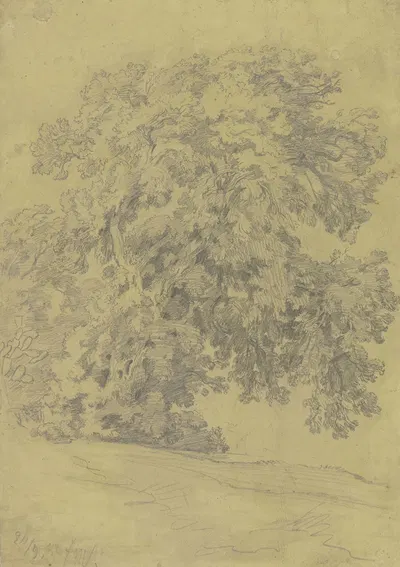 Oak tree by Friedrich Metz, 1882 — digital art print download