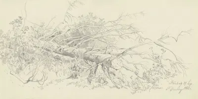 Abgesägter Nadelbaum bei Starnberg by Fritz Bamberger, 1865 — digital art print download