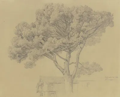 Baum bei einem Haus in Peschiera del Garda by Fritz Bamberger, 1851 — digital art print download