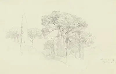 Bäume an einem Hang in Valencia by Fritz Bamberger, 1857 — digital art print download