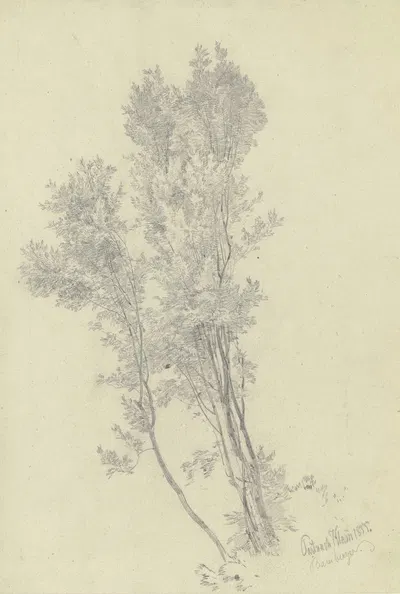 Gruppe junger Bäume an der Partnach Klamm by Fritz Bamberger, 1839 — digital art print download