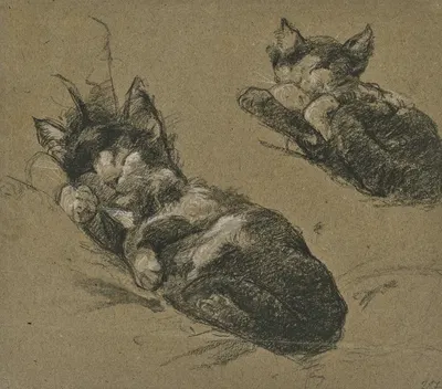 Studienblatt; Zwei Kätzchen by Фриц Бёле, 1891 — digital art print download