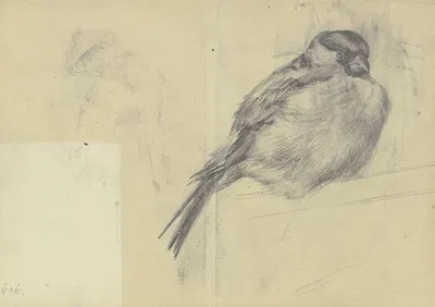 Singing bird by Фриц Бёле — digital art print download