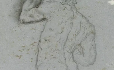 Male nude from behind by Gaspare Diziani — digital art print download