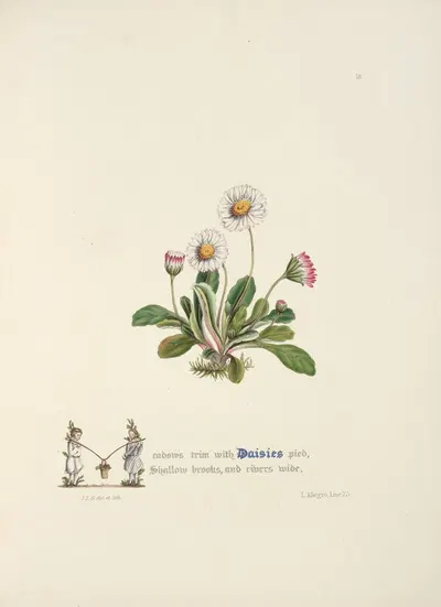 Daisies by Jane Elizabeth Giraud, 1846 — digital art print download