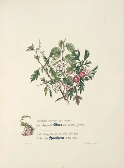 Elms and hawthorns by Jane Elizabeth Giraud, 1846 — digital art print download