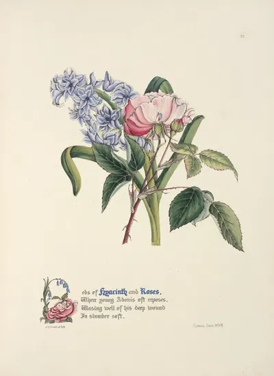 Hyacinth and rose by Jane Elizabeth Giraud, 1846 — digital art print download