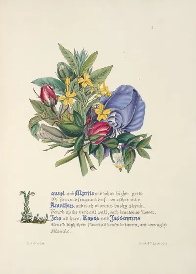 Laurel and myrtle by Jane Elizabeth Giraud, 1846 — digital art print download