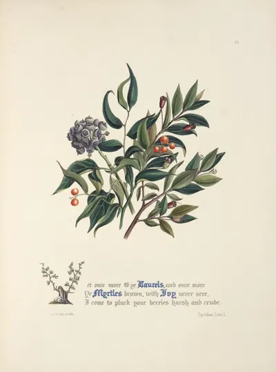 Laurels, myrtles and ivy by Jane Elizabeth Giraud, 1846 — digital art print download